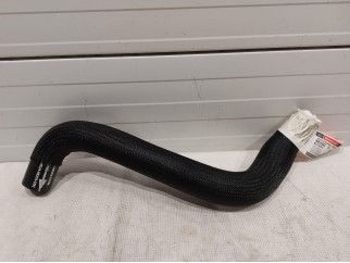 Upper Hose
